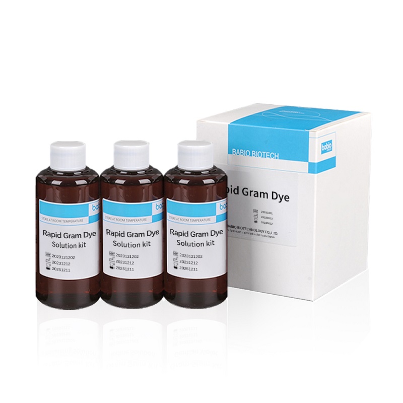Rapid Gram värvilahuse komplekt